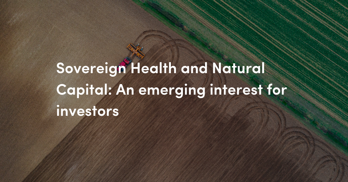 Dana Mangrove Blog Cover (1)