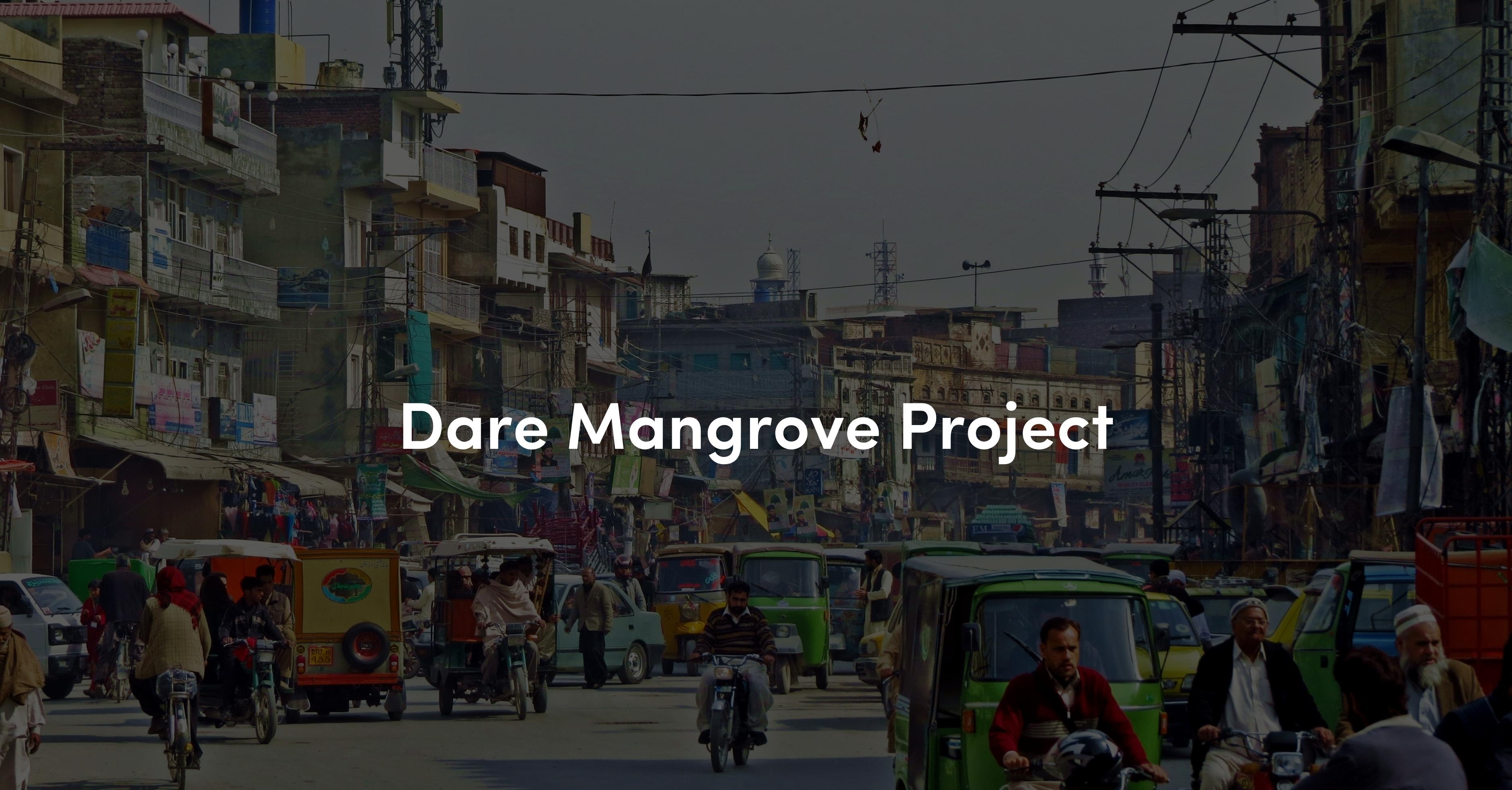 Mangrove Cover Image