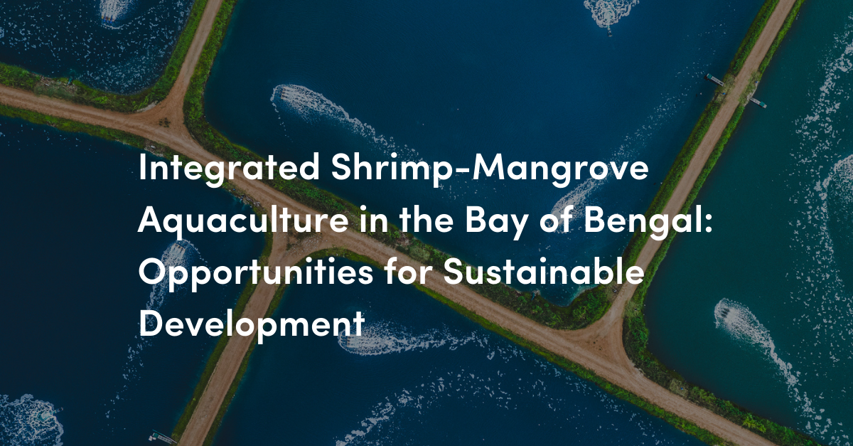 Dana Mangrove Blog Covers (1)